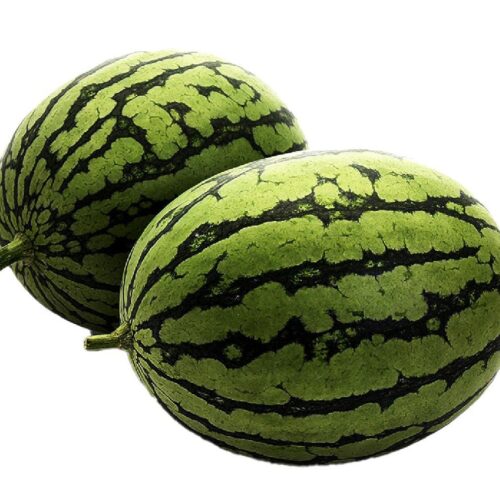 Water Melon Iran